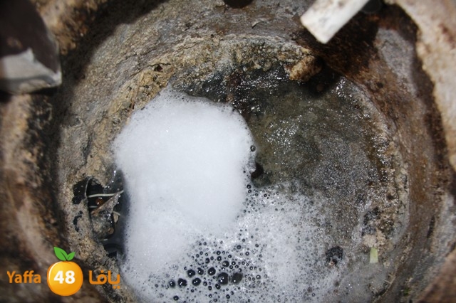 majarydakka (14).JPG